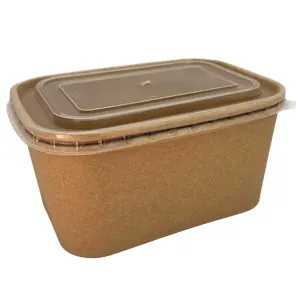 Barquette Rectangle Kraft Brun (17X12.5X8 CM)