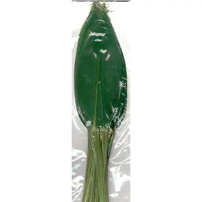 Feuilles de Bamboo Takumi No Waza