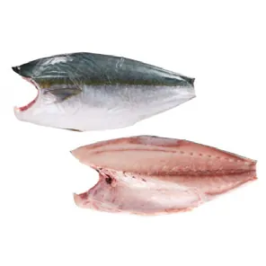 Hamachi (Sériole du Japon)