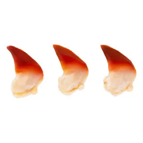 Hokkigai (Coquilles Saint-Jacques)