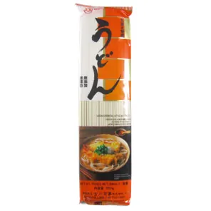 Nouilles Udon